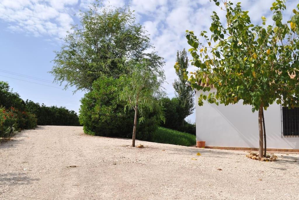 קורדובה Casa Rural La Linana מראה חיצוני תמונה