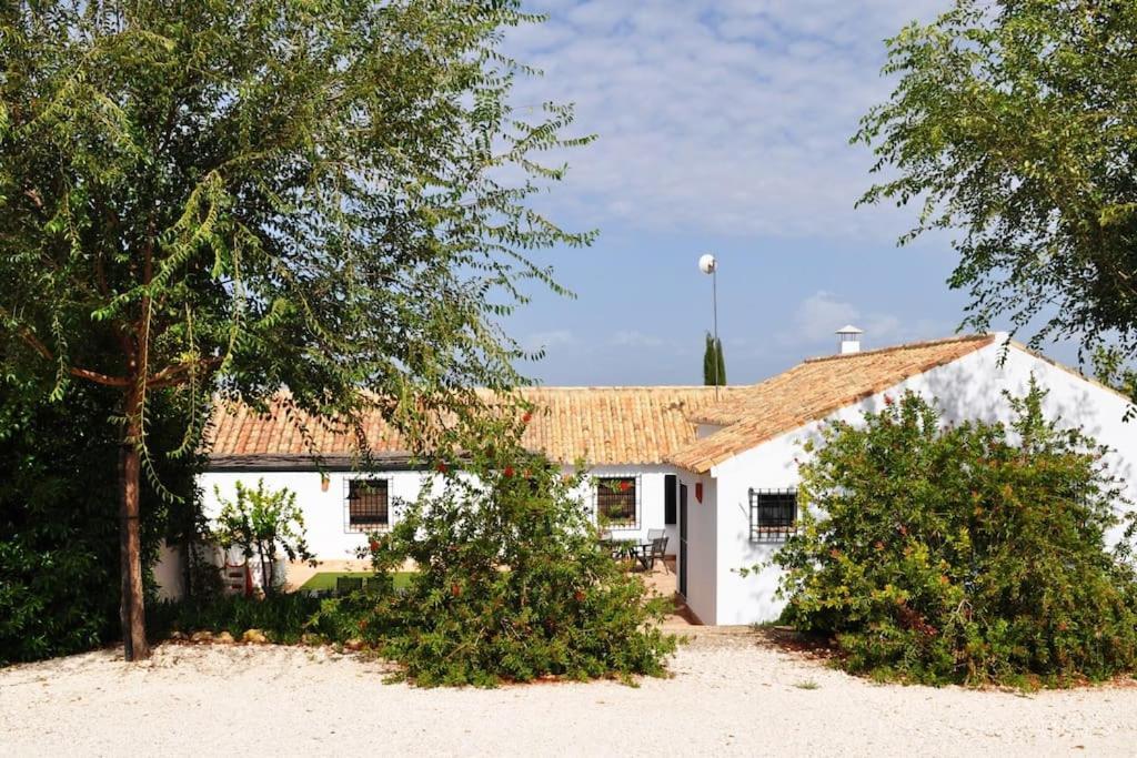 קורדובה Casa Rural La Linana מראה חיצוני תמונה