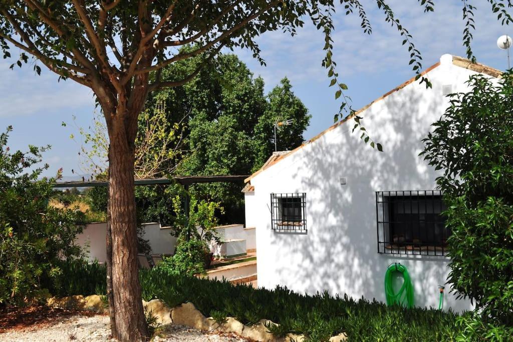 קורדובה Casa Rural La Linana מראה חיצוני תמונה